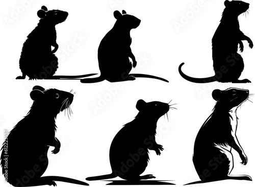 Silhuette rat animal images