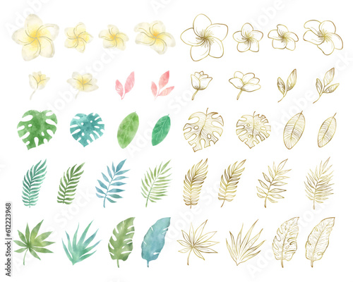 夏の植物 プルメリアと葉っぱの水彩素材ベクターイラストセット