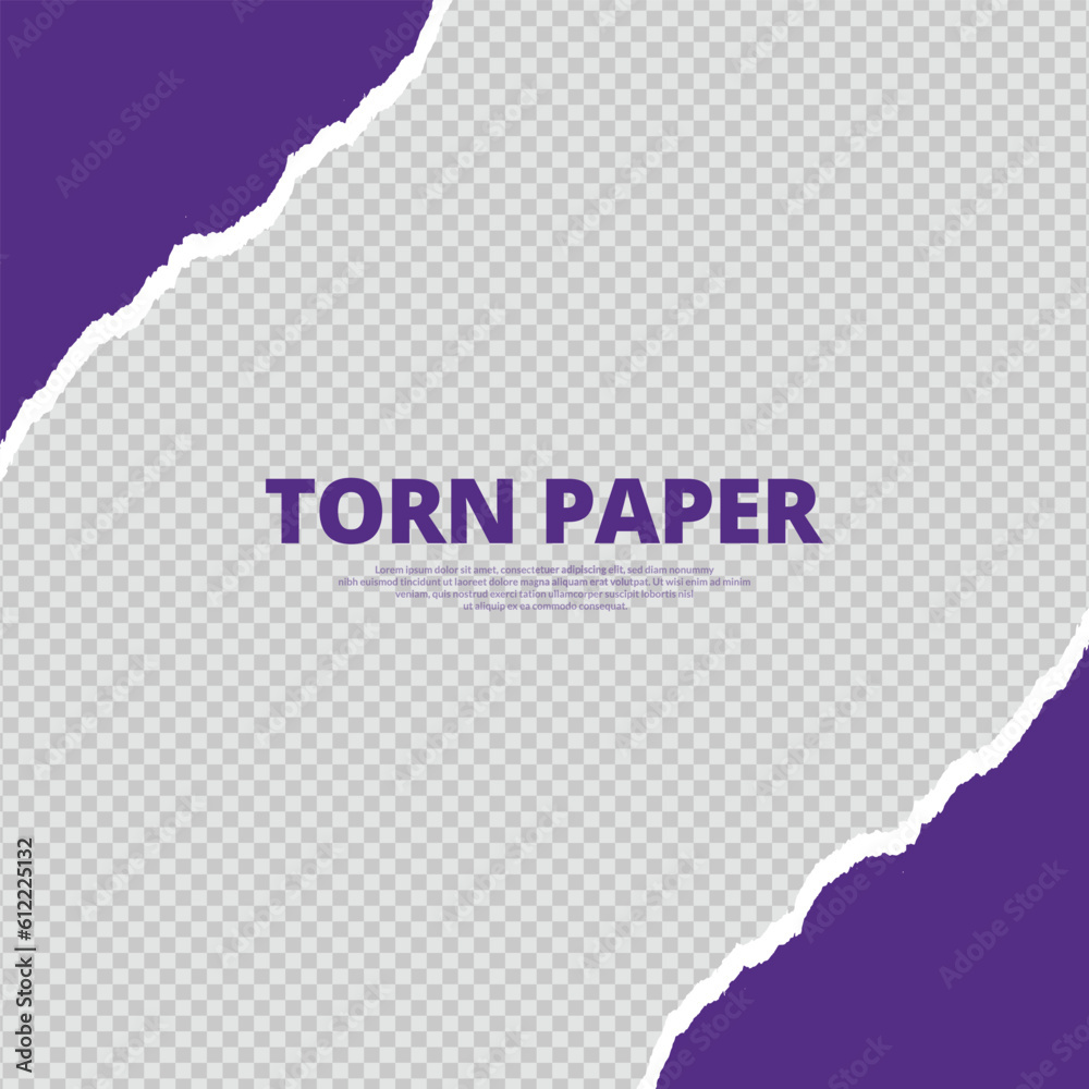 Purple Paper Rip Transparent background purple color torn paper strip design with ripped ...