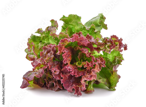 Fresh red lettuce isolated on transparent background. PNG