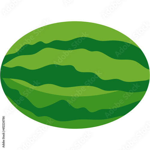 Watermelon Fruit Illustration-01