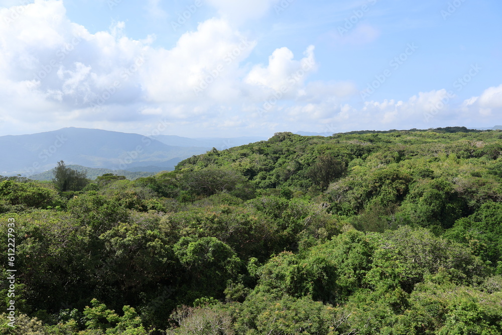 Obraz premium June 5, 2023: Kenting National Forest Recreation Area