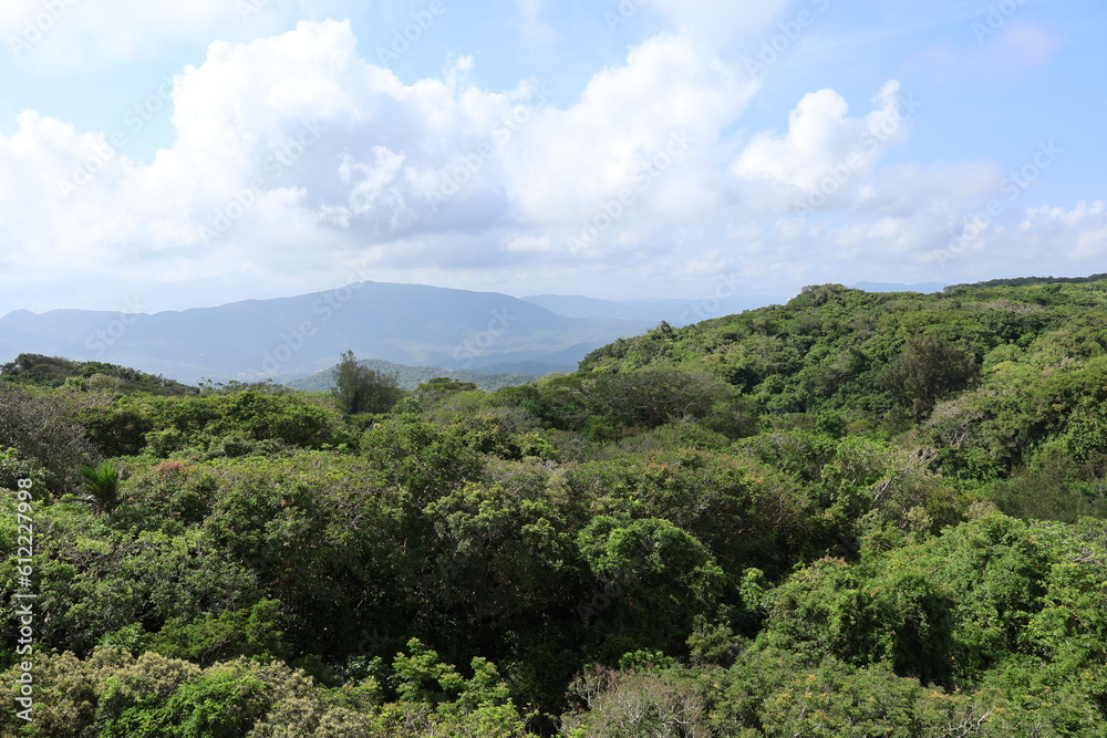 June 5, 2023: Kenting National Forest Recreation Area