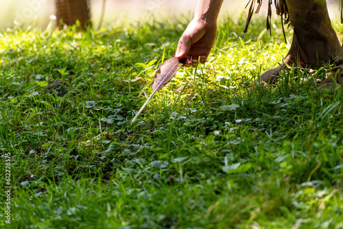 Man picks up a bird's feather in a meadow on the banks of a stream
