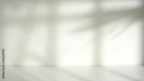 White room with window and leaf shadow overlay