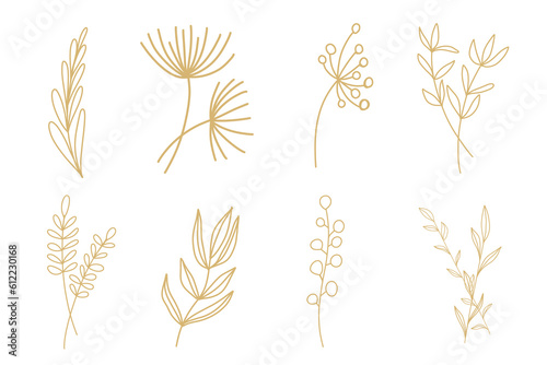 Neutral Beige Simple Minimalistic Floral Doodle natural elements designs botanical line plants, stem, buds vector set collection, oak tree, maple silhouette, palm, banana silhouette.