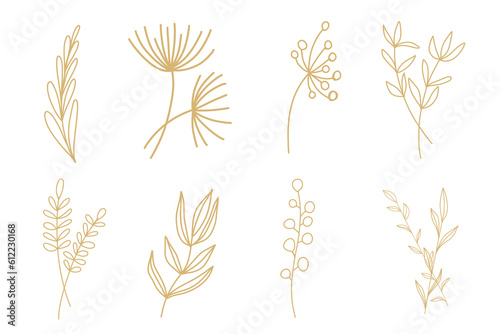 Neutral Beige Simple Minimalistic Floral Doodle natural elements designs botanical line plants  stem  buds vector set collection  oak tree  maple silhouette  palm  banana silhouette.