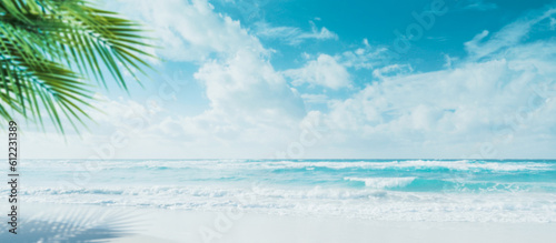 Photography Beautiful tropical beach with palm trees background