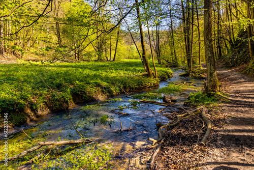 Saspowka creek in Saspowska Valley nature park and reserve in spring season within Jura Krakowsko-Czestochowska Jurassic upland near Cracow in Lesser Poland photo