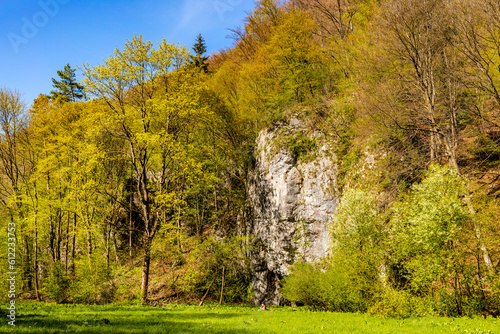 Fototapeta Naklejka Na Ścianę i Meble -  Saspowska Valley nature park and reserve along Saspowka creek in spring season within Jura Krakowsko-Czestochowska Jurassic upland near Cracow in Lesser Poland