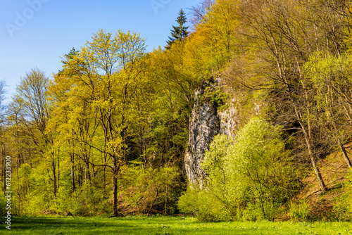 Saspowska Valley nature park and reserve along Saspowka creek in spring season within Jura Krakowsko-Czestochowska Jurassic upland near Cracow in Lesser Poland