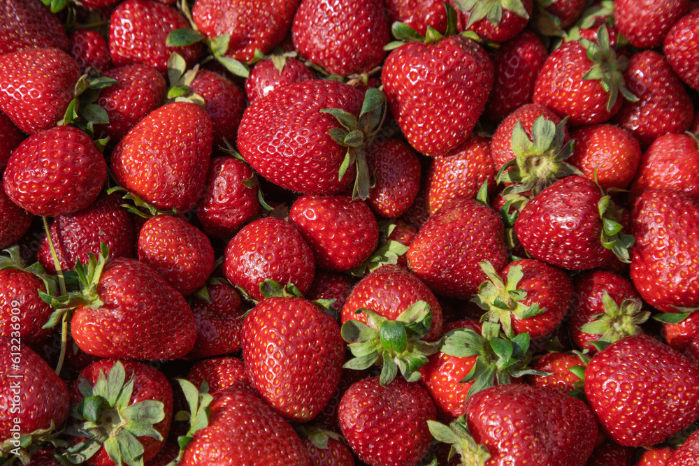 strawberries strawberries