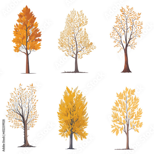  Minimal style tree painting hand drawn. Autumn tree watercolor vector illustration. Set of graphics trees elements drawing for architecture and landscape design. White background