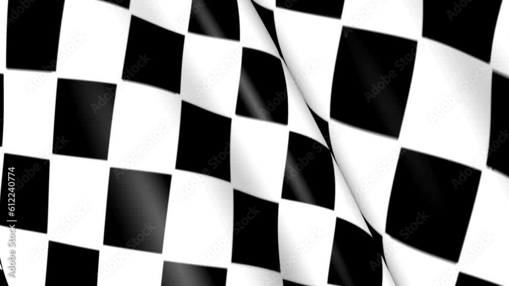 Checkered flag of sports car racing. The canvas in the cage is rally. Checkered flag of sports car racing. The canvas in the cage is rally.