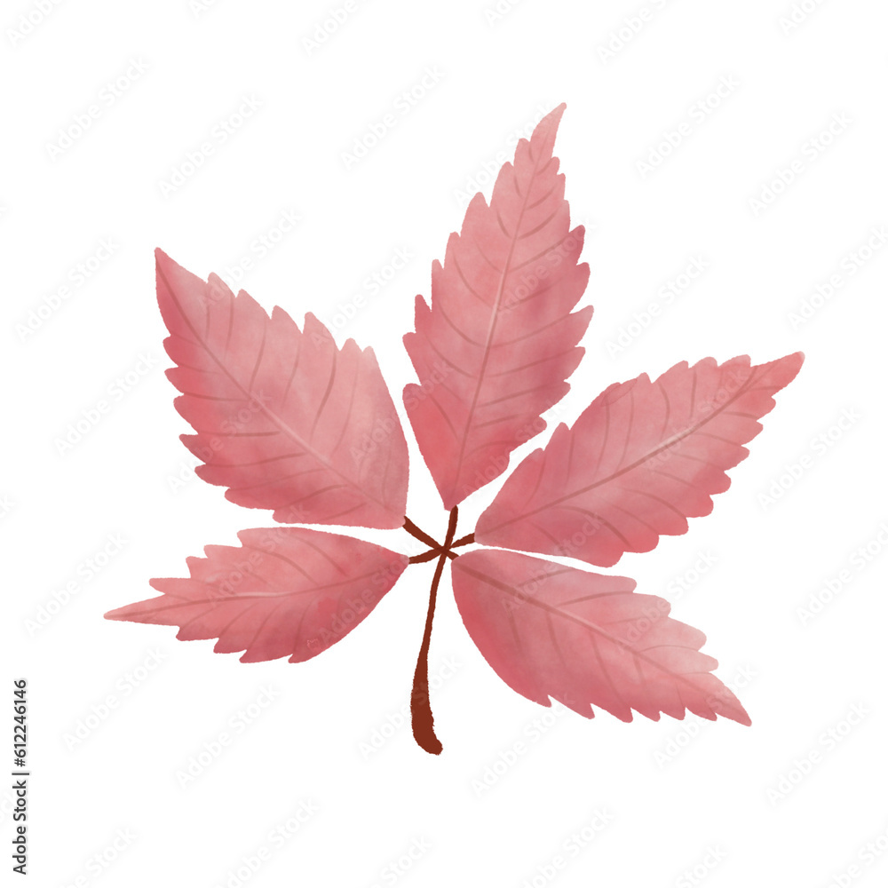 Autumn leaves in watercolor style. PNG Autumn leaves in watercolor style. PNG