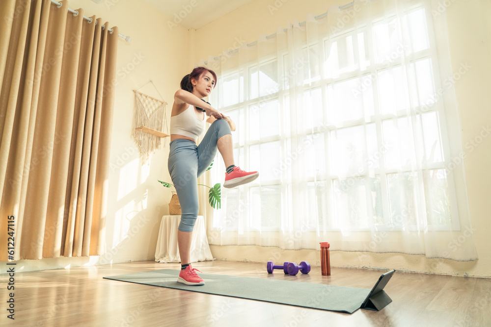 Workout Asian women in sport wear doing exercise alone in living room on the morning. Active young female training muscles exercise at home for healthy body lifestyle concept. Workout Asian women in sport wear doing exercise alone in living room on the morning. Active young female training muscles exercise at home for healthy body lifestyle concept.