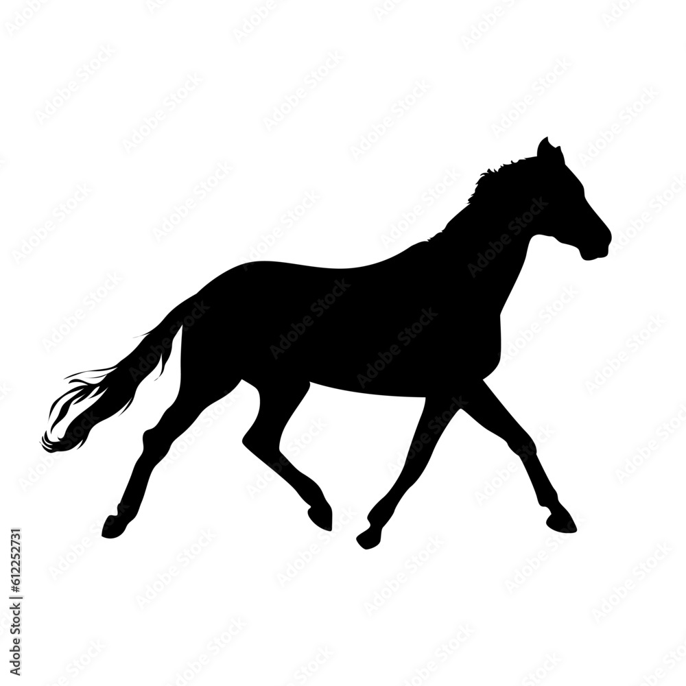 Isolated black silhouette horse on white background