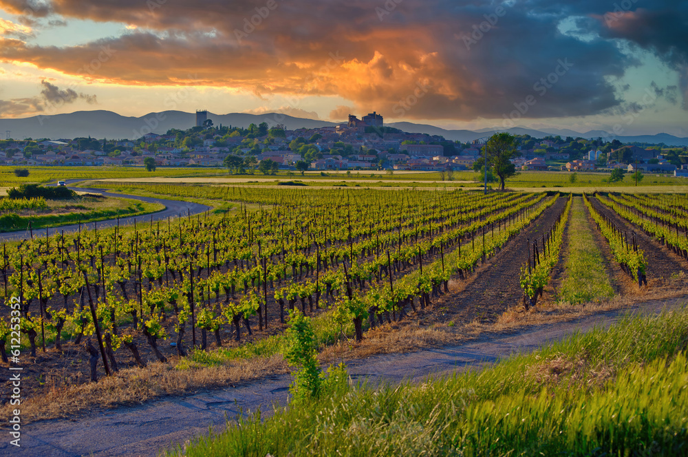 The sun goes down over vineyards in the Languedoc region of the south of France near the village of Puissalicon