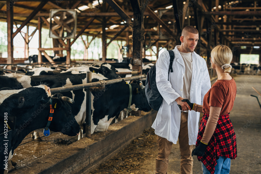 A woman who works at the animal farm greets a veterinarian in a stable. A woman who works at the animal farm greets a veterinarian in a stable.