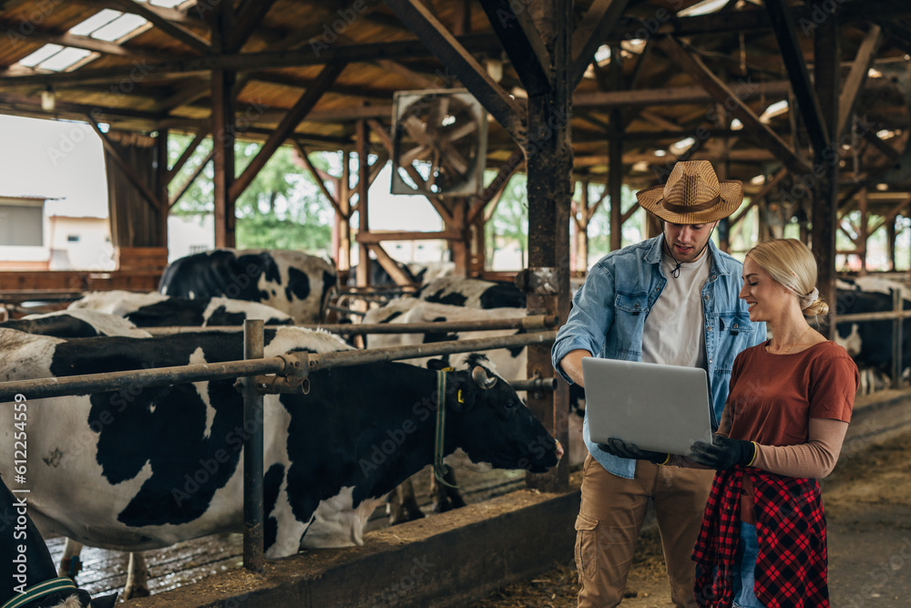 Two farmers using computer in a stable. Two farmers using computer in a stable.