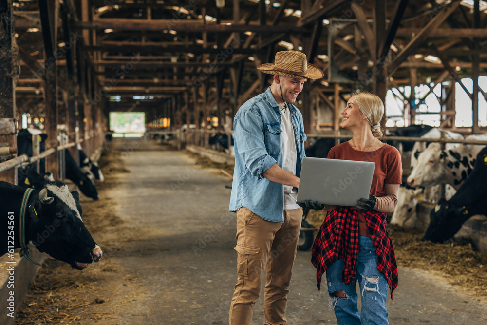 Female and male farmer use laptop in a stable for results. Female and male farmer use laptop in a stable for results.