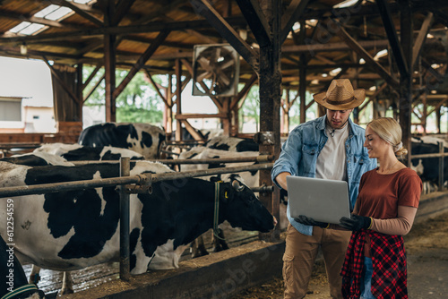 Two farmers using computer in a stable.