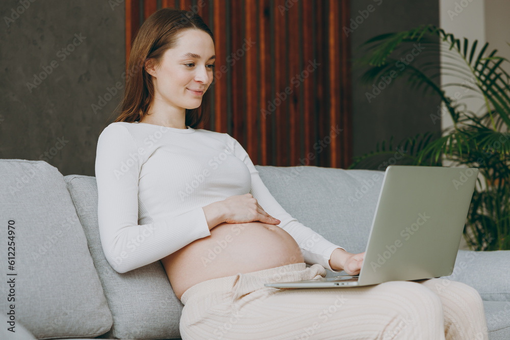 Naklejka premium Young pregnant IT woman in casual clothes hold use work on laptop pc computer sits on grey sofa couch stay at home hotel flat rest relax spend free spare time in living room Maternity family concept