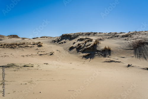 The Gray Dunes  or the Dead Dunes is sandy hills with a bit of green specks at the Lithuanian side of the Curonian Spit