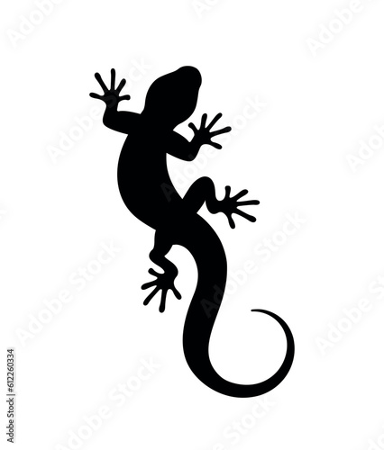 Silhouette of a lizard on a white background