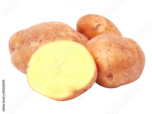 Potato isolated 