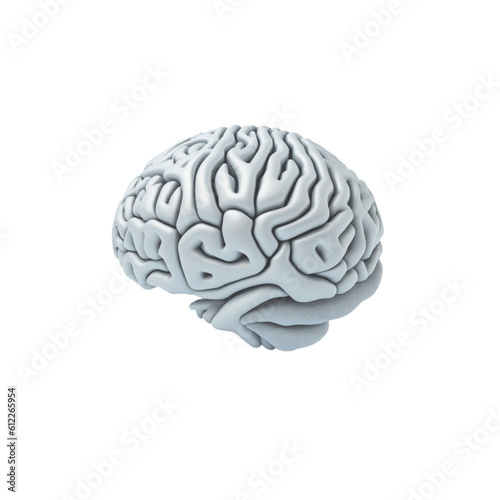 Human brain isolated, Human brain clipart isolated, Brain isolated, single human brain, mental health brain, healthy brain
