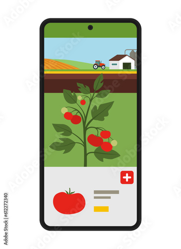 Buy vegetables directly from local farmers