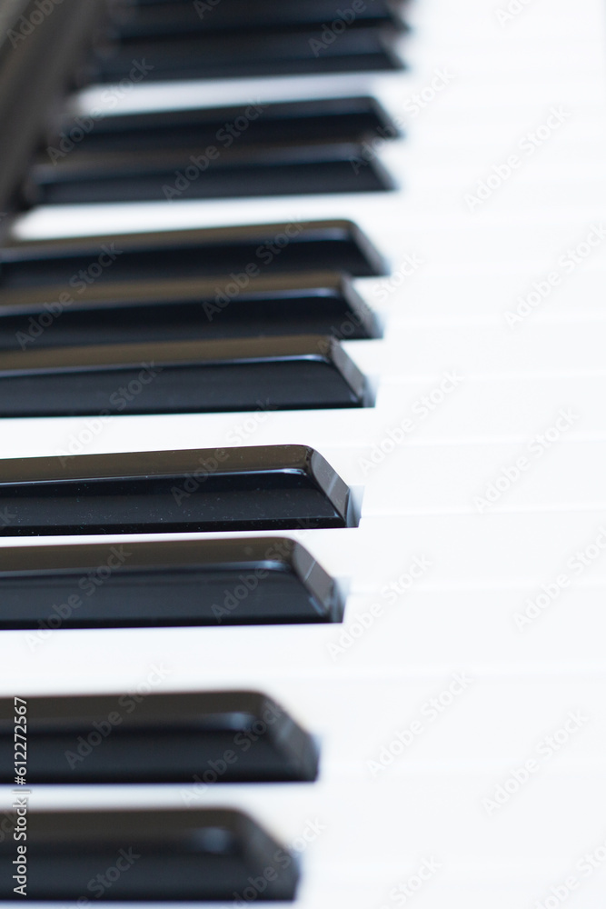 Synthesizer keys black and white background with copy space for your text. Piano octave close up Synthesizer keys black and white background with copy space for your text. Piano octave close up