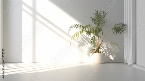 A pot with a palm tree on the floor of a large white room. Magical sunlight floods the minimalist modern room. Created with AI.
