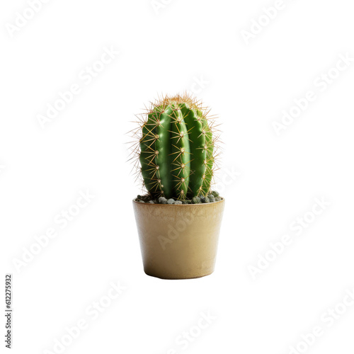  Cactus in a pot. Stock image for decorating a scene or background.