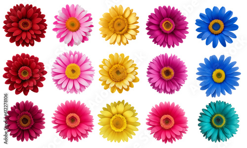 set of colorful daisy flowers, Generative AI