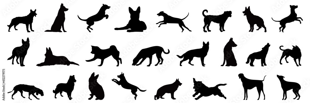 Dog silhouette collection. Set of black different dog breed silhouette