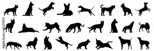 Dog silhouette collection. Set of black different dog breed silhouette