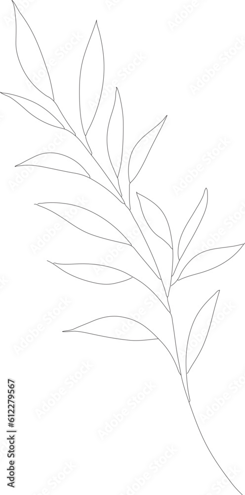 Branch with leaves, Hand drawn abstract minimal element, Vector drawing ...