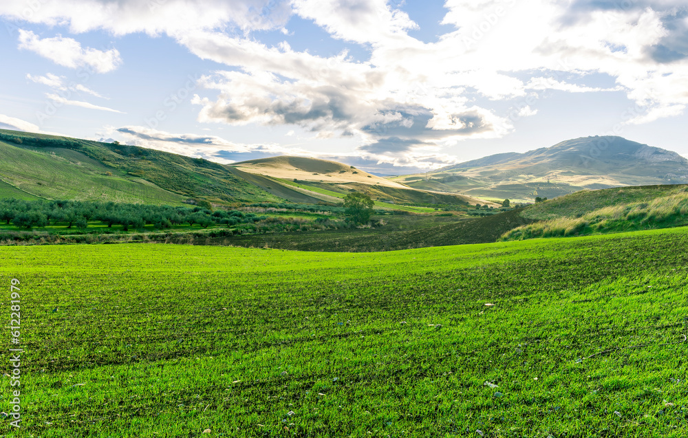 Scenic view at beautiful spring sunset in a green shiny field with green grass and golden sun rays, deep blue cloudy sky on a background , forest and country road, summer valley landscape Scenic view at beautiful spring sunset in a green shiny field with green grass and golden sun rays, deep blue cloudy sky on a background , forest and country road, summer valley landscape
