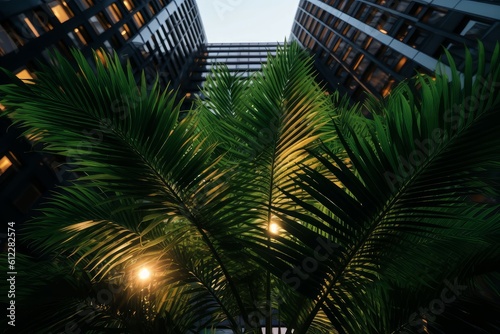 Palm leaves front skyscraper tourism. Generate Ai © nsit0108