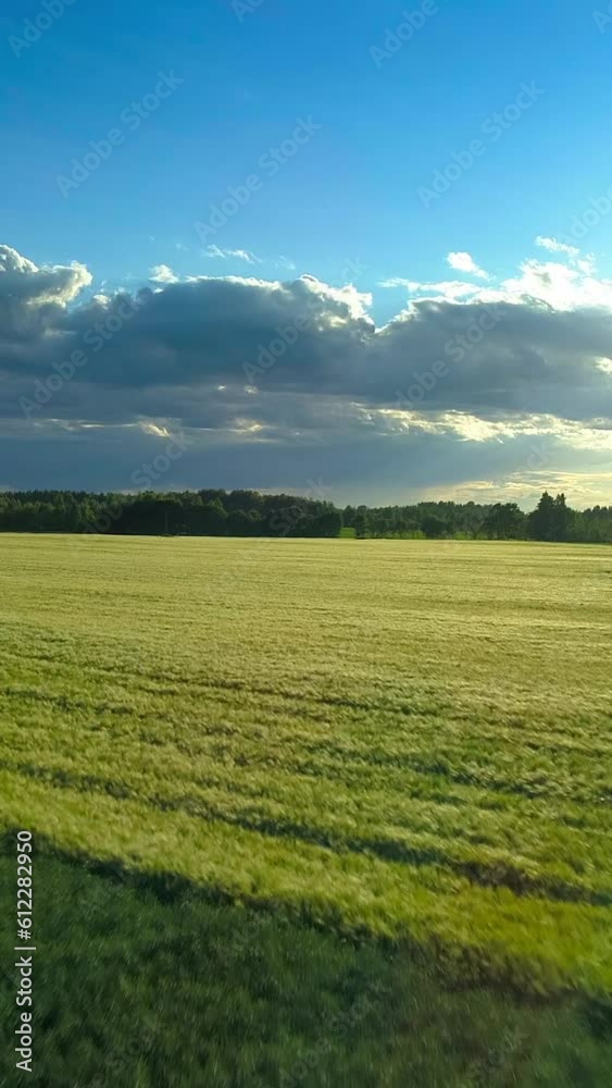 Beautiful farmland, fields, forest and cloudy sky, aerial view, vertical short video, social media cover Beautiful farmland, fields, forest and cloudy sky, aerial view, vertical short video, social media cover