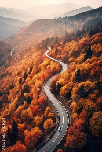 Aerial view of a winding road through a breathtaking autumn forest, symbolizing travel and adventure in the fall season © EOL STUDIOS