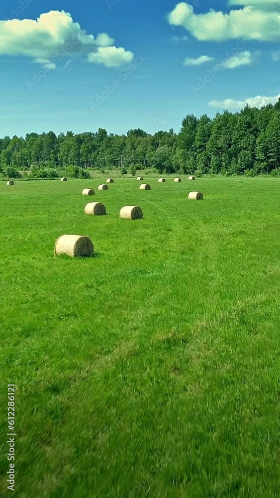 Green field with round haystack, forest, blue sky cloud, sunny day, vertical short video, social media story Green field with round haystack, forest, blue sky cloud, sunny day, vertical short video, social media story