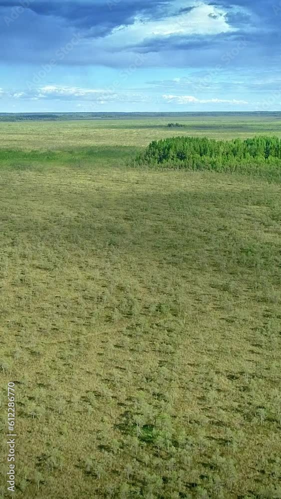Pristine nature, wetland, upward drone motion view, vertical short video Pristine nature, wetland, upward drone motion view, vertical short video