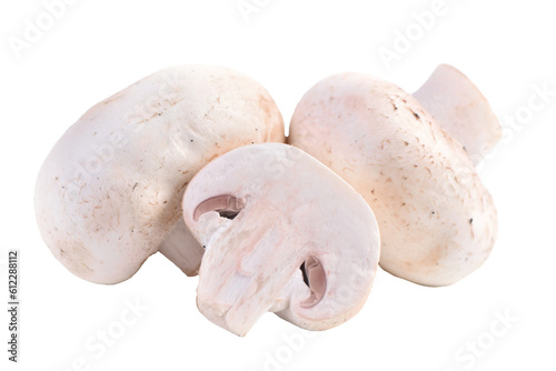 Mushrooms champignon isolated 