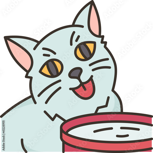 cat  icon