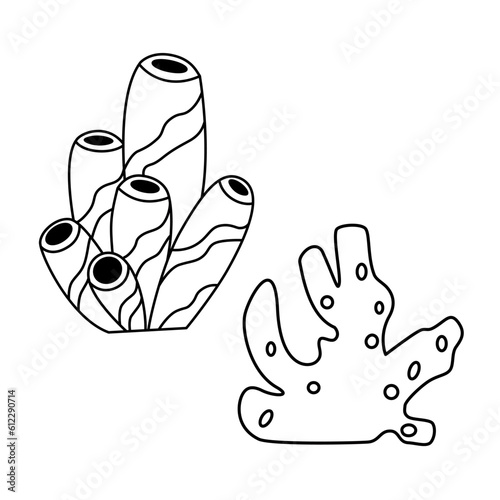 Sea reef corals outline contour black and white doodle vector illustration coloring page element
