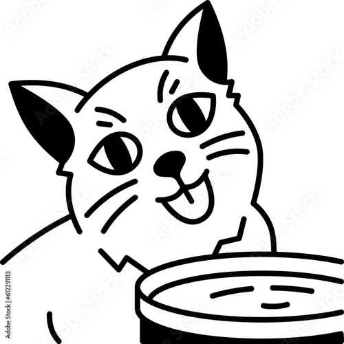 cat  icon