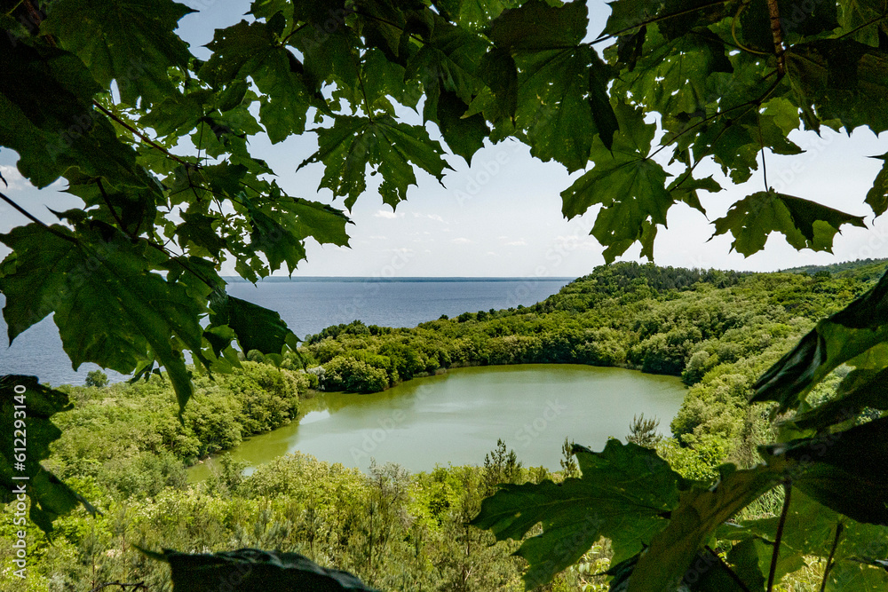 lake in the forest lake in the forest